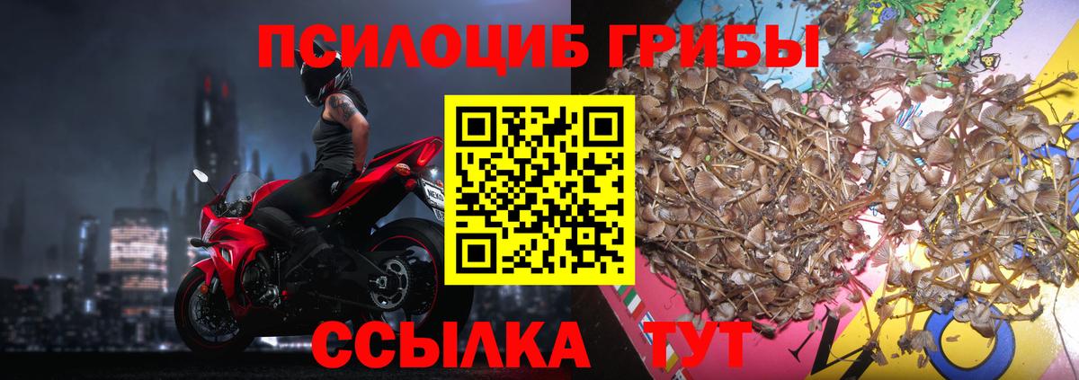 Джанкой  Псилоцибиновые грибы прущие грибы  Псилоцибиновые грибы MAGIC MUSHROOMS  Вход с VPN 